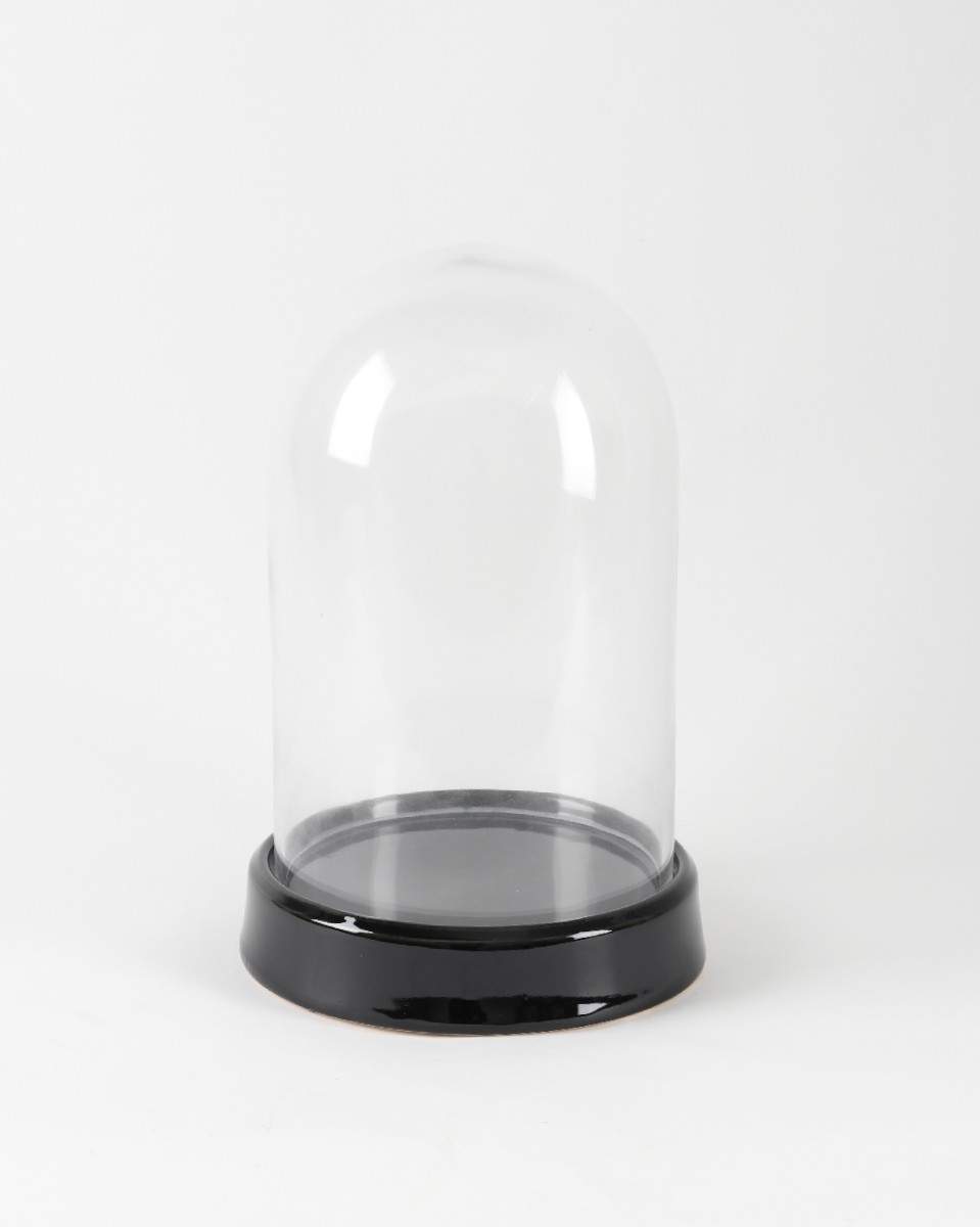 Glass Dome Base Glass Dome With Black Base – Plant and Pot Co.