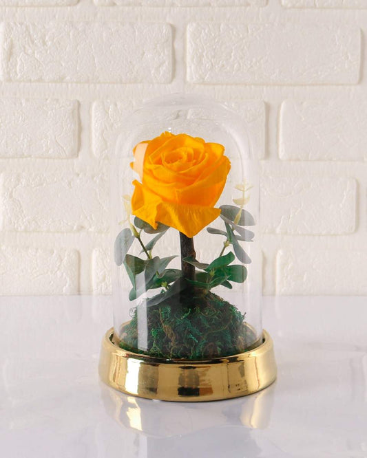 Yellow Preserved Rose Arrangement Small - Gift
