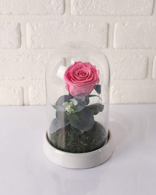 Baby Pink Preserved Rose Arrangement - Small - Gift