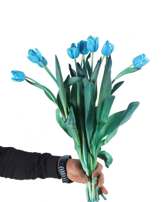 Tulip Double Painted Riviera / BLUETOOTH - LIGHT BLUE