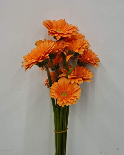 Gerbera Mini Orange Flower Bunch - باقة زهور البرتقال الصغيرة من جربيرا