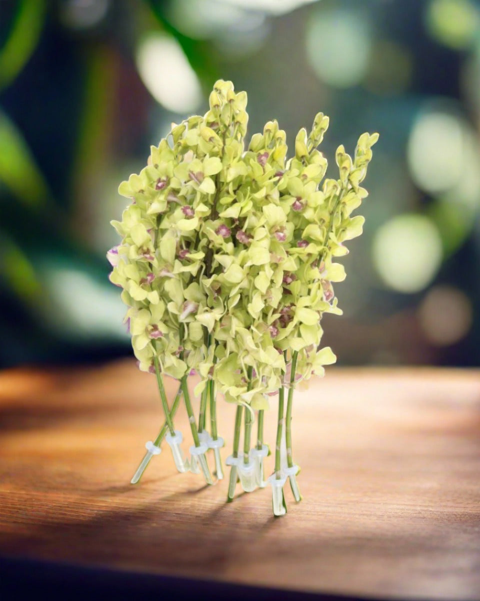 Baby Orchid Green Flower Bunch - باقة زهور الأوركيد الخضراء