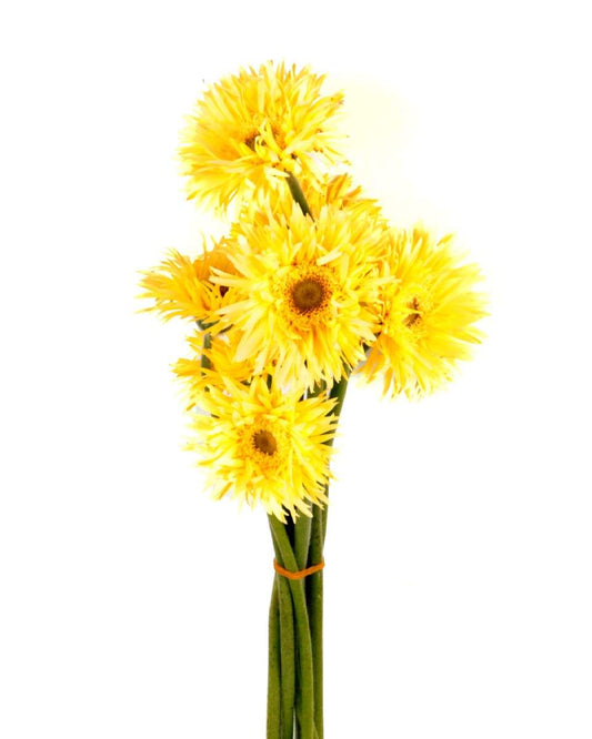 Gerbera Yellow Flower Bunch - زهرة جربيرا