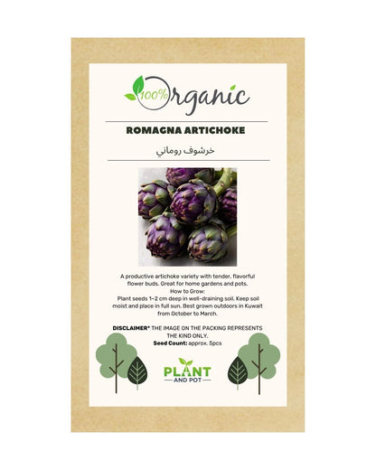 Romagna Artichoke Seeds | بذور خرشوف روماني