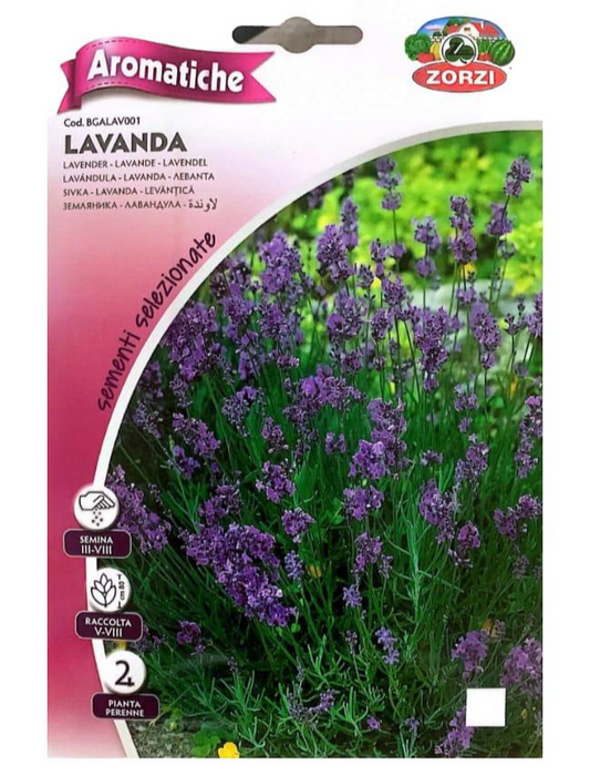 Lavender Seeds