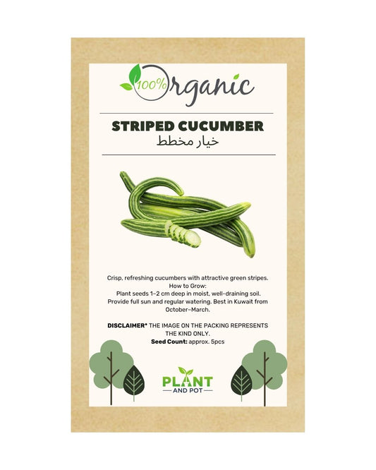 Striped Cucumber Seeds | بذور خيار مخطط