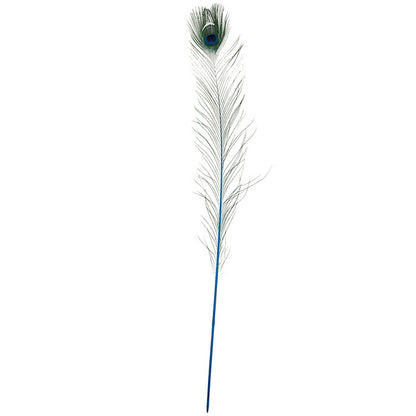 Peacock Feather - Decoration - Natural