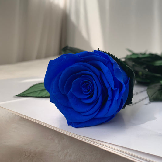 Eternal Rose Stem - الوردة الخالدة
