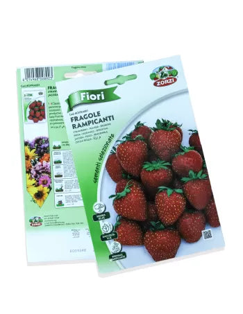 Strawberry Plant Seeds