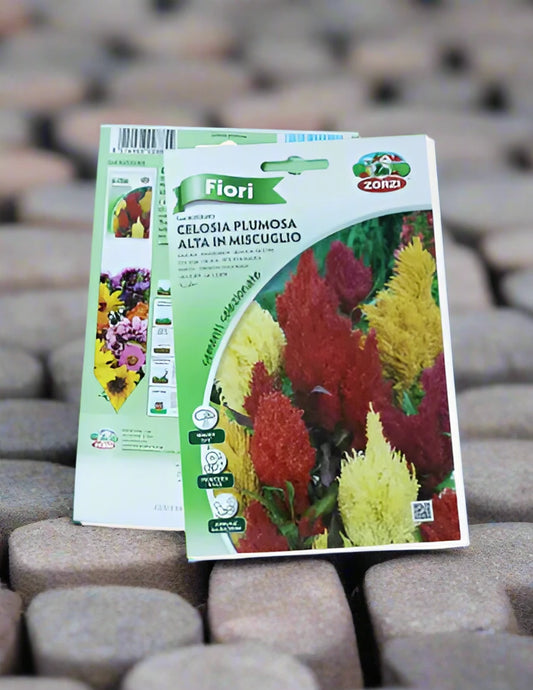 https://plantnpot.com › products › celosia-seed