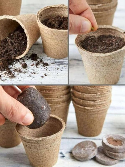 Paper Pot - Compostable - Pack of 10pcs