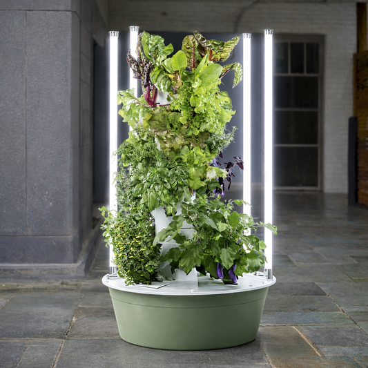 Hydroponic Tower - 5 Layer Plant Growing System