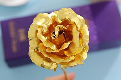 https://plantnpot.com › products › gold-flower