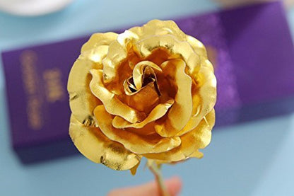https://plantnpot.com › products › gold-flower