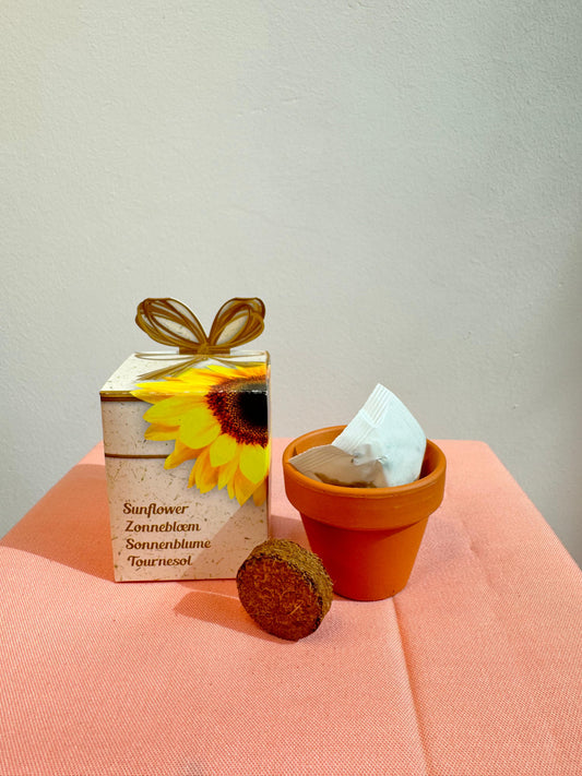 Flower Grow Kit | طقم زراعة الزهور