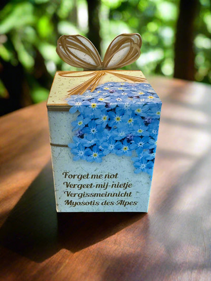 Flower Growing Seeds Kit - مجموعة بذور زراعة الزهور