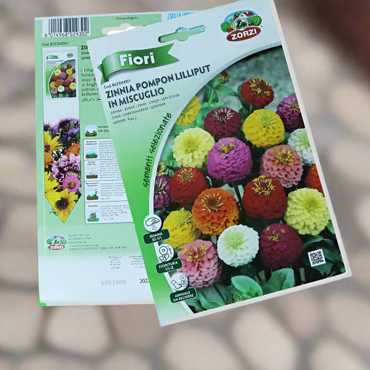 https://plantnpot.com › products › zinnia-pomponlilliput