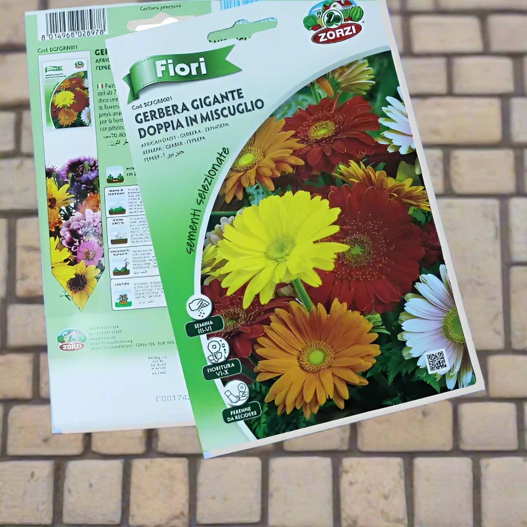 https://plantnpot.com › products › african-daisy-seed