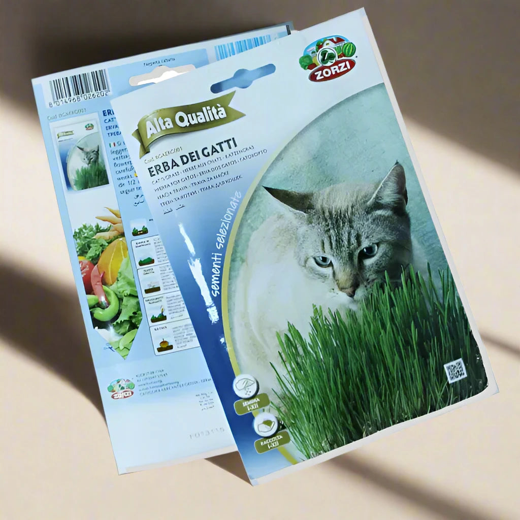 https://plantnpot.com › products › cat-grass-seed