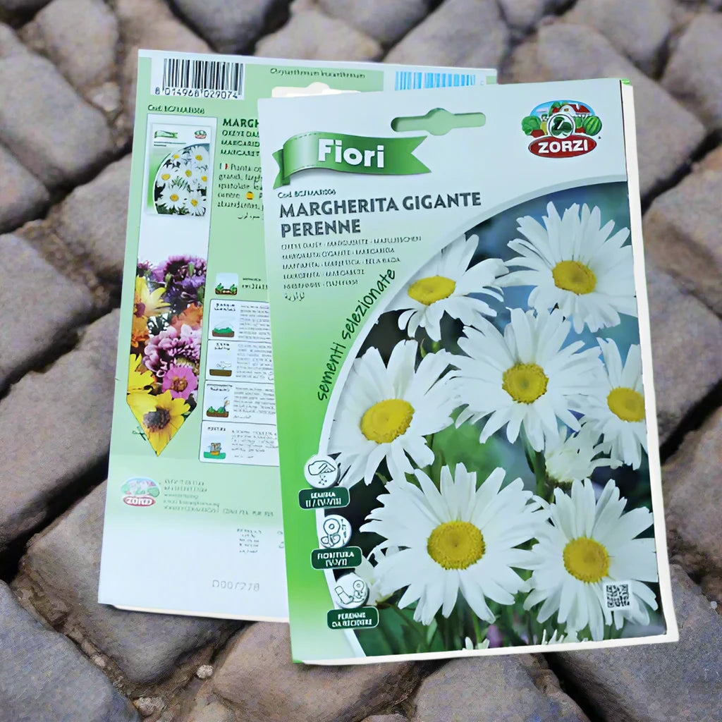 https://plantnpot.com › products › oxeye-daisy-seed