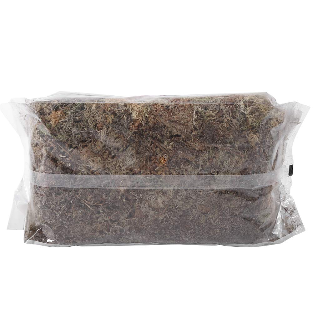 Dried Natural Sphagnum Moss - 6Liter