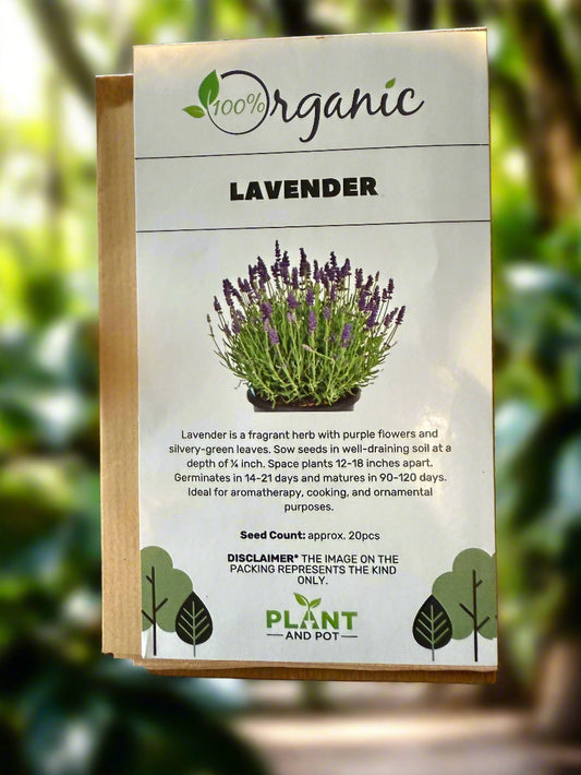 https://plantnpot.com › products › lavender-seeds


