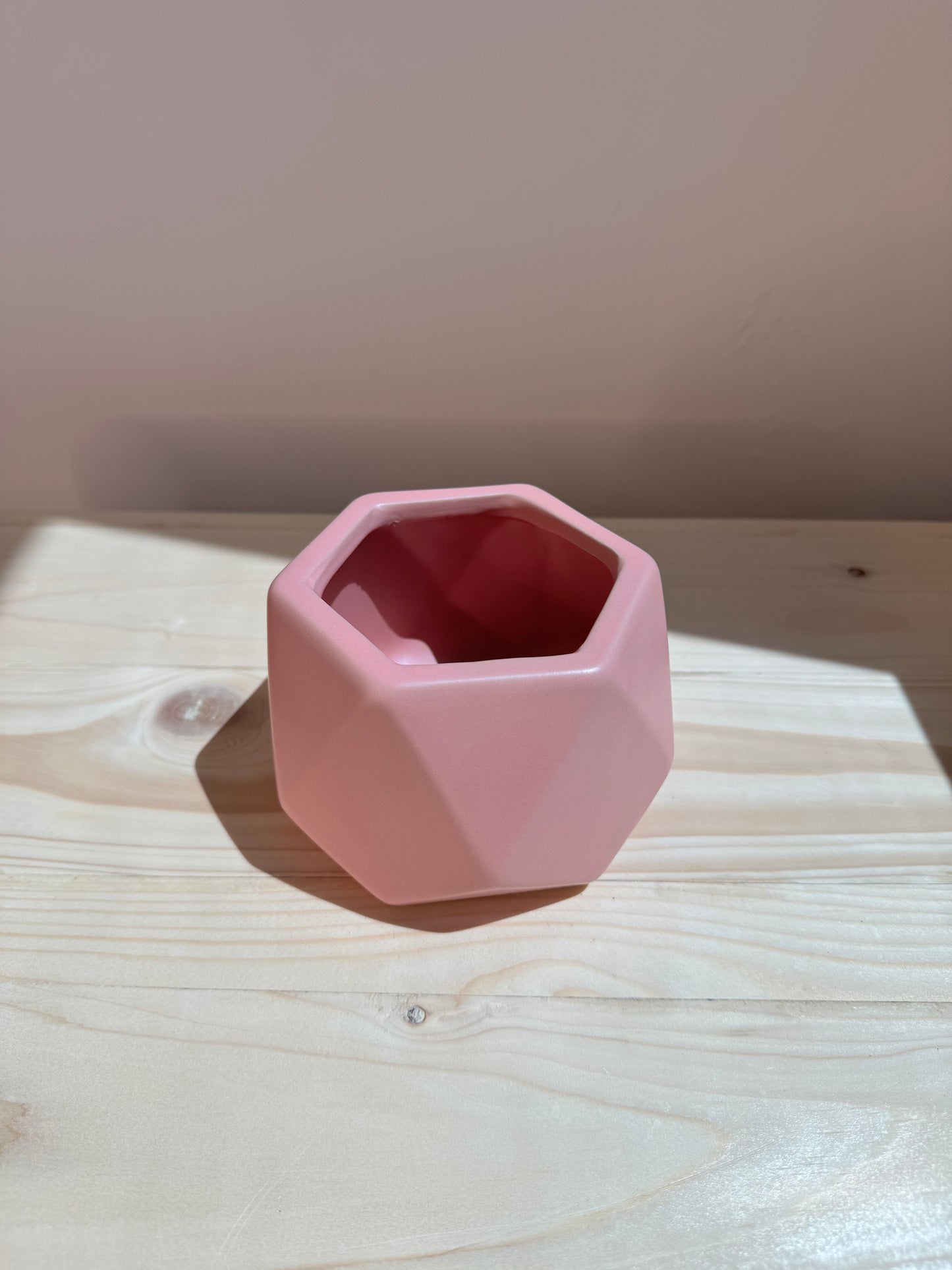 Pink Hexagon Ceramic Pot - Planter