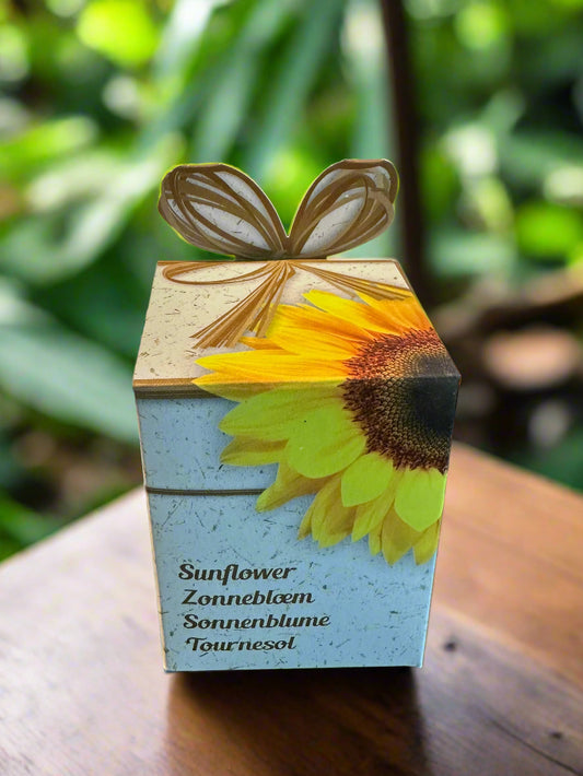 Flower Growing Seeds Kit - مجموعة بذور زراعة الزهور