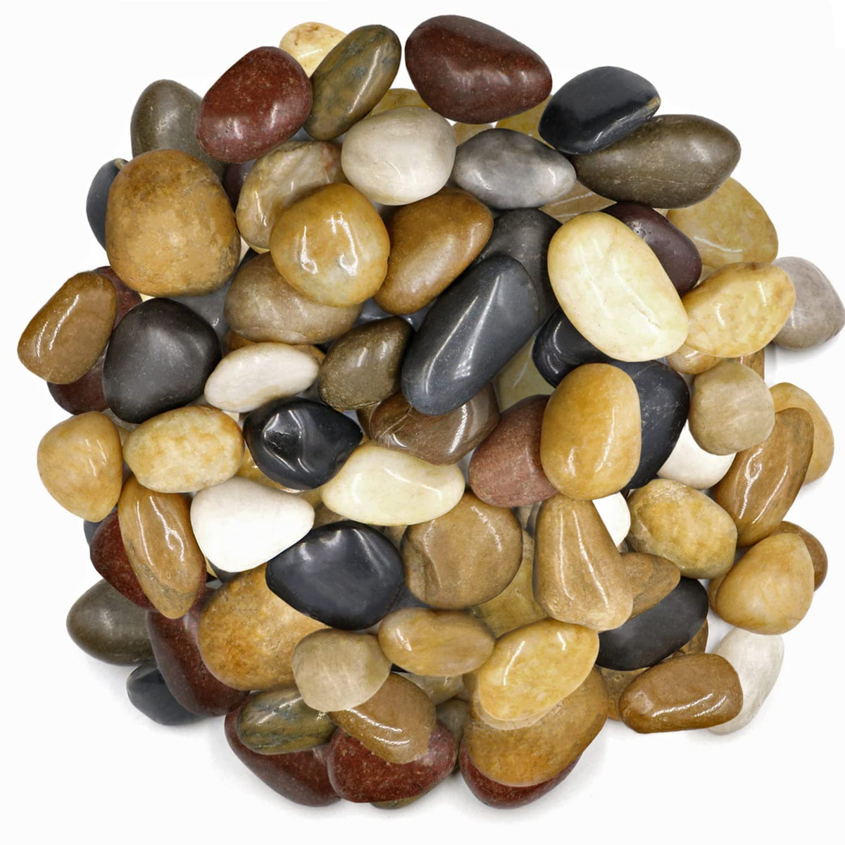 Pebbles Light Color Mixed Color Pebbles 800g – Plant and Pot Co.