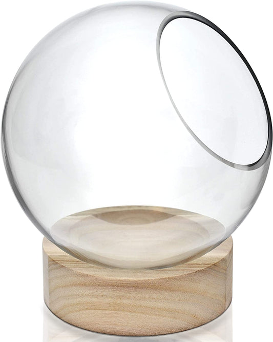 Bubble Bowl with Wood Base