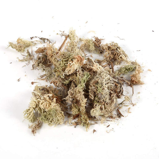 Dried Natural Sphagnum Moss - 6Liter