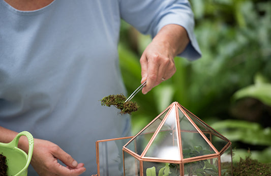 Stainless Steel Tong - Multipurpose for Terrariums - Aquariums