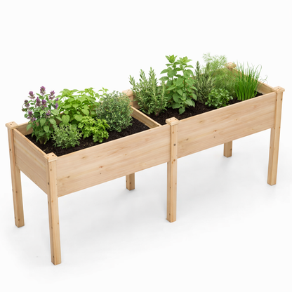 Wooden Raised Garden Bed Dual Compartment | حوض زراعة خشبي مرتفع بقسمين