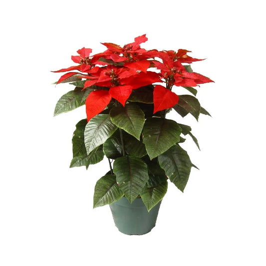 Red Poinsettia Christmas Flower Plant - Artificial Plant