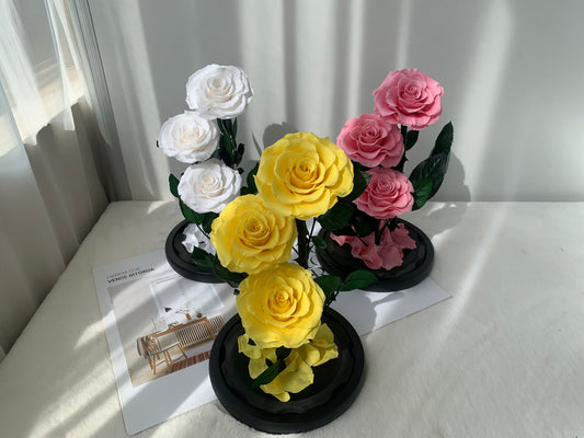 Layered Love – Preserved Rose Dome - الوردة الخالدة