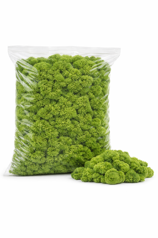 Preserved Reindeer Moss – Light Green (10L Bag)
