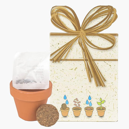 Flower Grow Kit | طقم زراعة الزهور