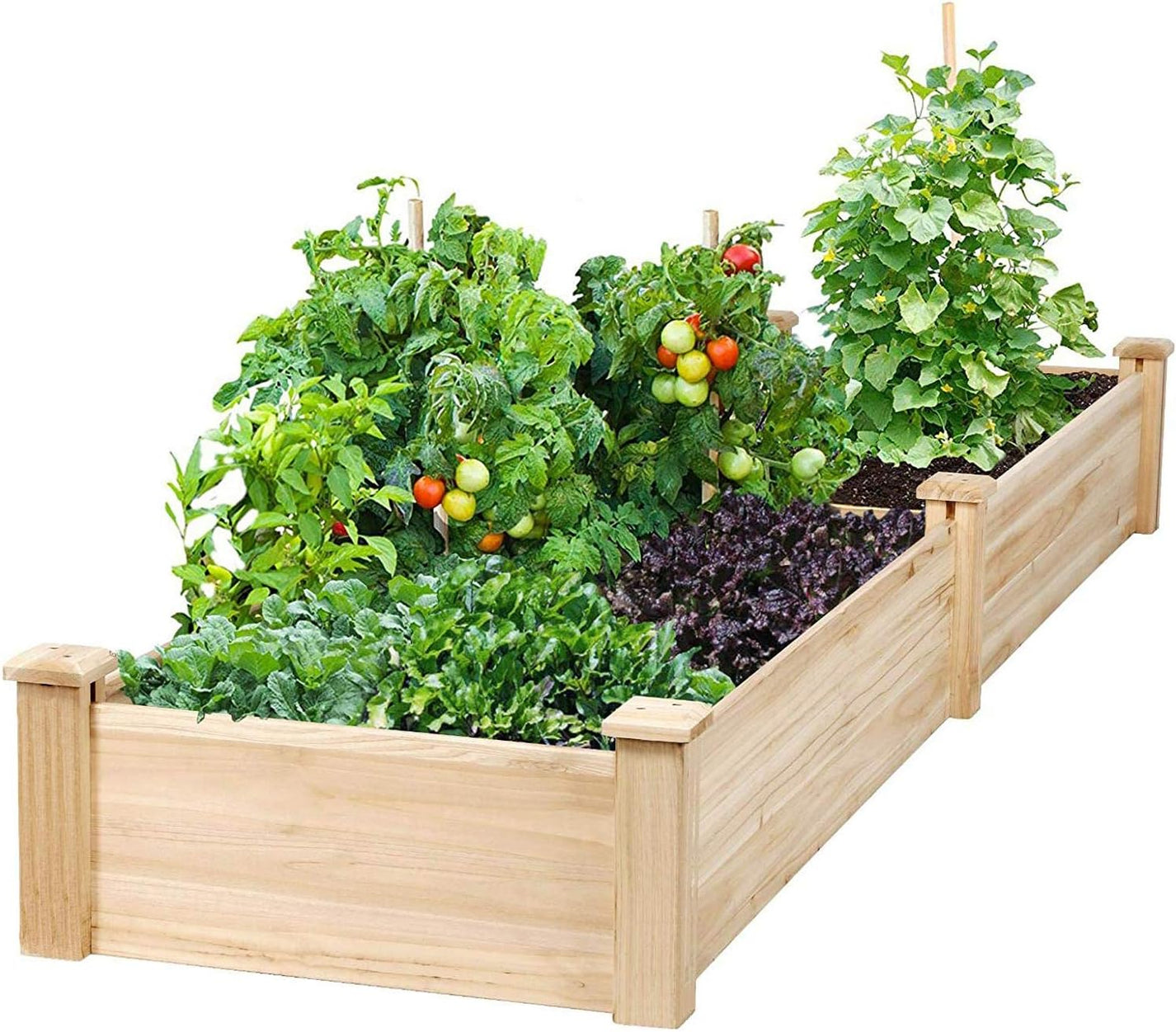 Wooden Raised Garden Bed Ground Planter Plant and Pot Co.