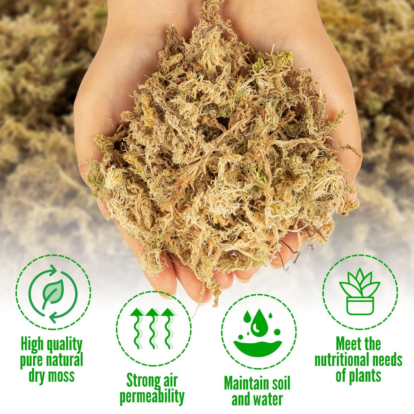 Dried Natural Sphagnum Moss - 6Liter