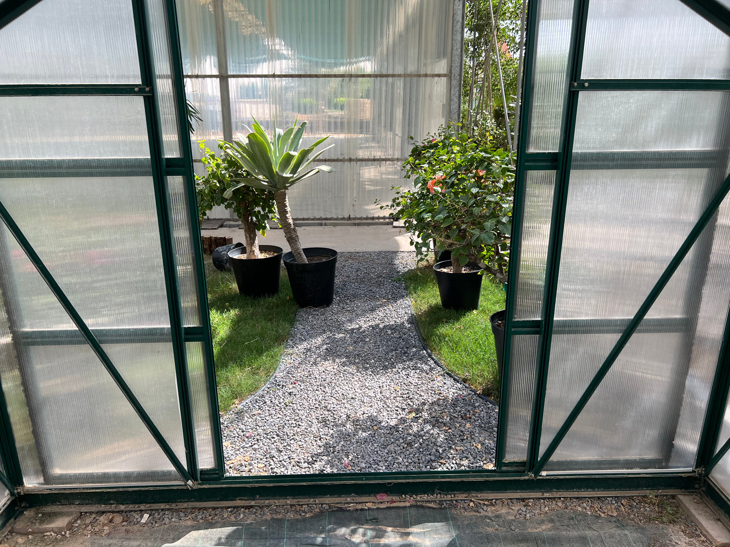 Polycarbonate Greenhouse with Lockable Hinged Door, Sliding Door and 2 Vent Window, Walk-in Hobby Greenhouse Aluminum