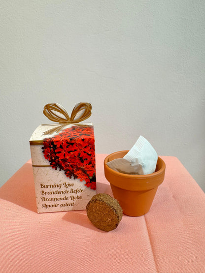 Flower Grow Kit | طقم زراعة الزهور
