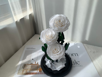 Layered Love – Preserved Rose Dome - الوردة الخالدة