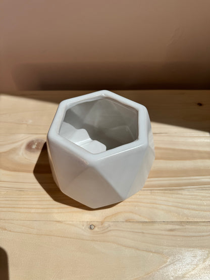 White Hexagon Ceramic Pot - Planter