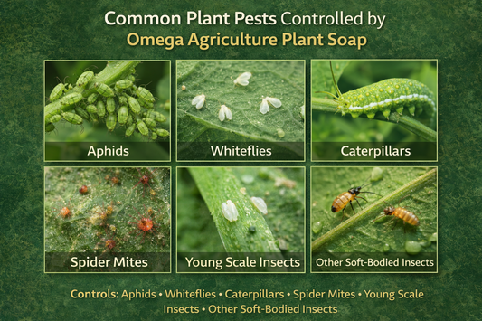 Omega Agriculture Plant Soap - Natural Insecticide for Plants - صابون زراعي طبيعي