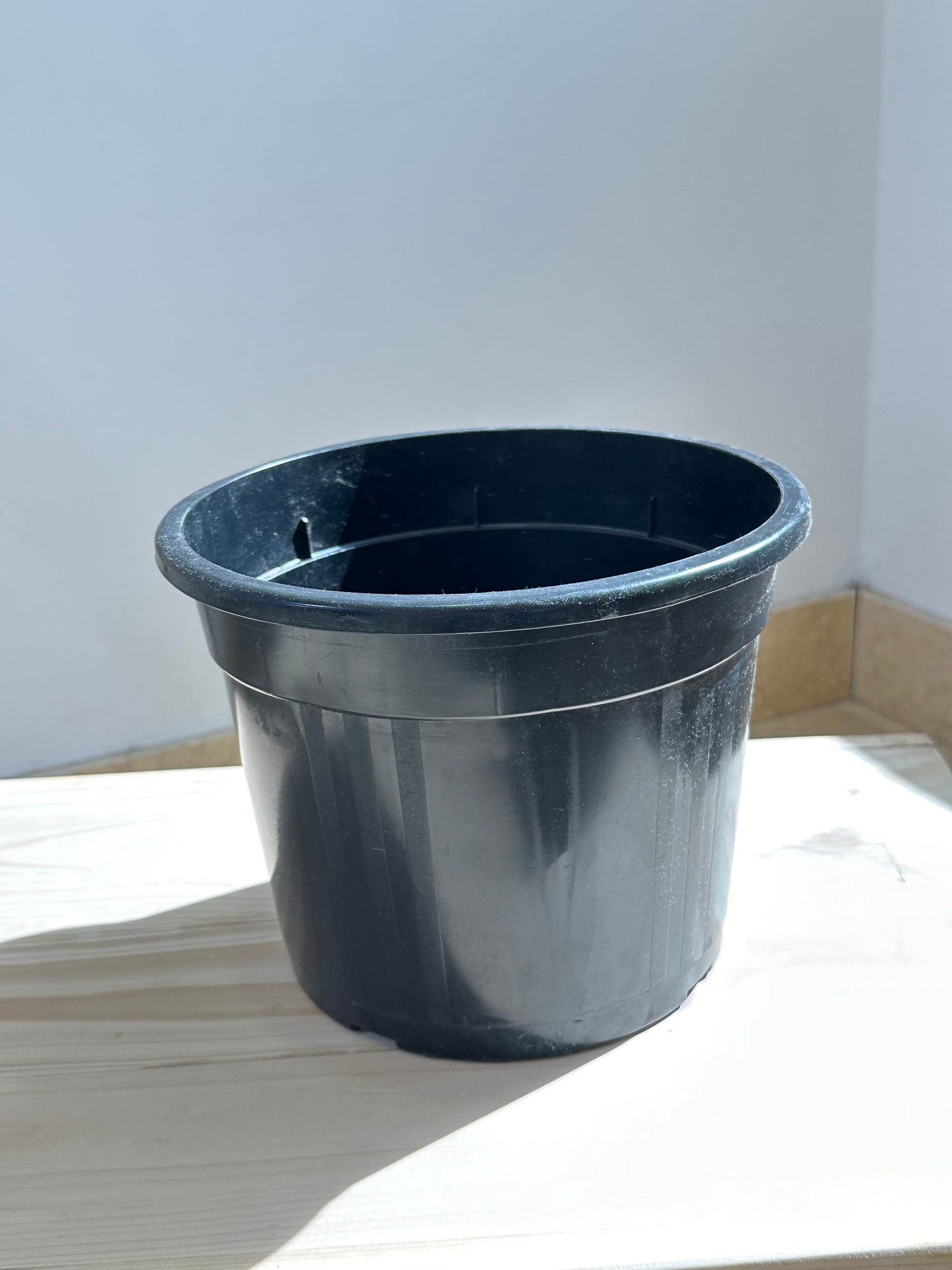 Round Black Plastic Pot - Indoor & Outdoor use