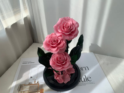Layered Love – Preserved Rose Dome - الوردة الخالدة
