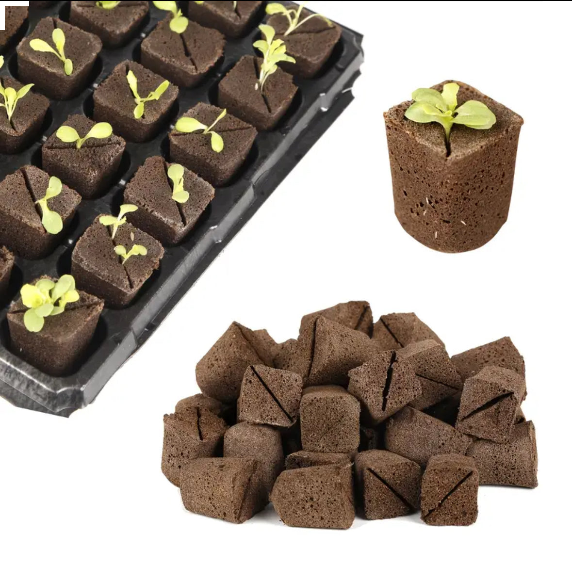 Seed Germination Cubes - Seeding Hydroponic / Soil Sponge - Pack of 10pcs