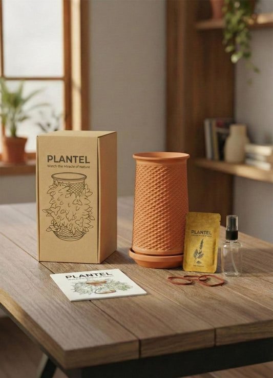 Plantel | Live Handmade Pottery Flower Pot | Soilless Hydroponics Plant Growing Terracotta Pot