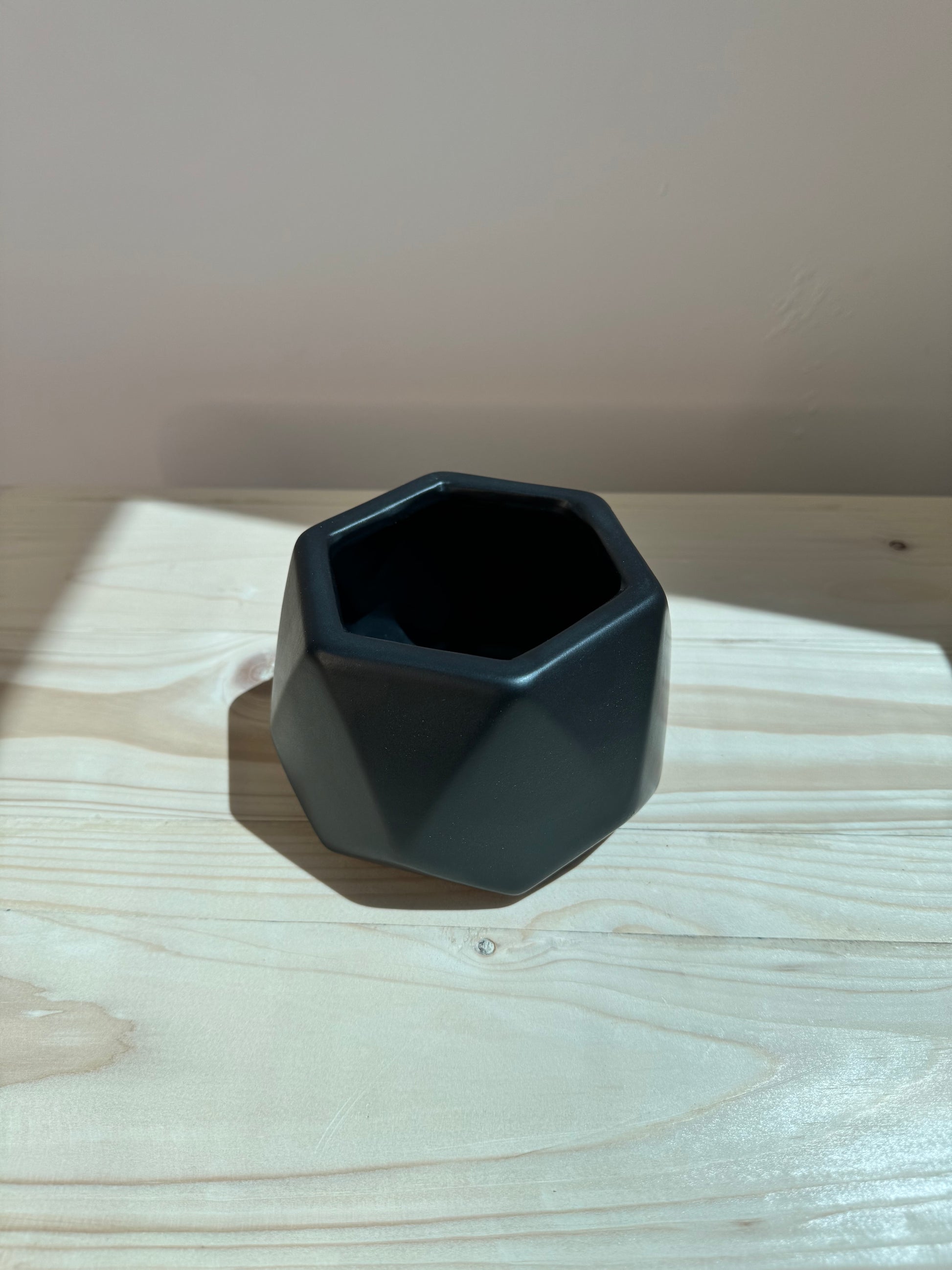 Black Hexagon Ceramic Pot - Planter