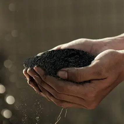 BioChar – Soil Amendment & Conditioner 5L